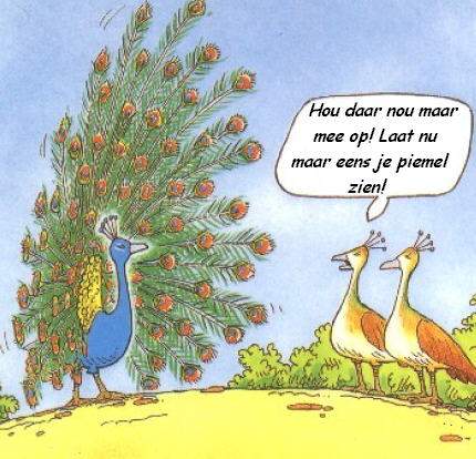 Grappig plaatje