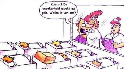 Grappig plaatje