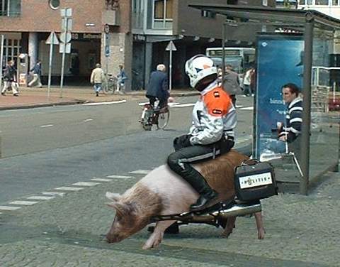 Grappig plaatje
