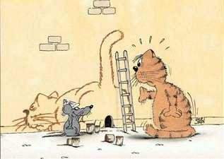 Grappig plaatje